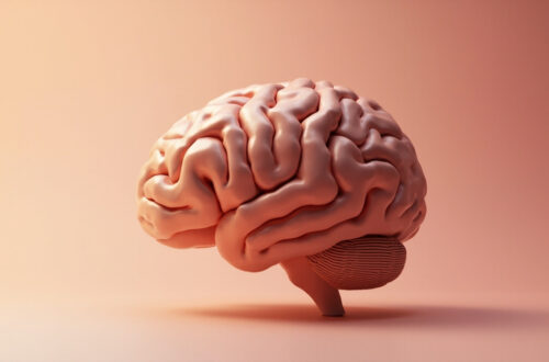 Esprit en meditation profonde